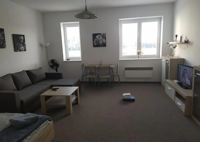 Apartment 10 Zupanovice
